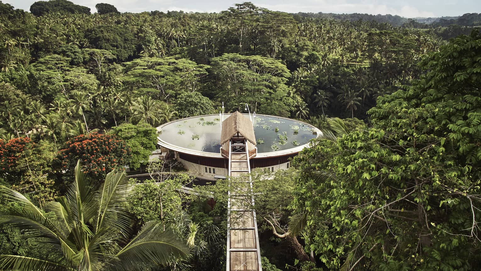 Aerial view of large water-filled lotus pond rooftop pool surrounded by lush palms and forest, long wood footbridge