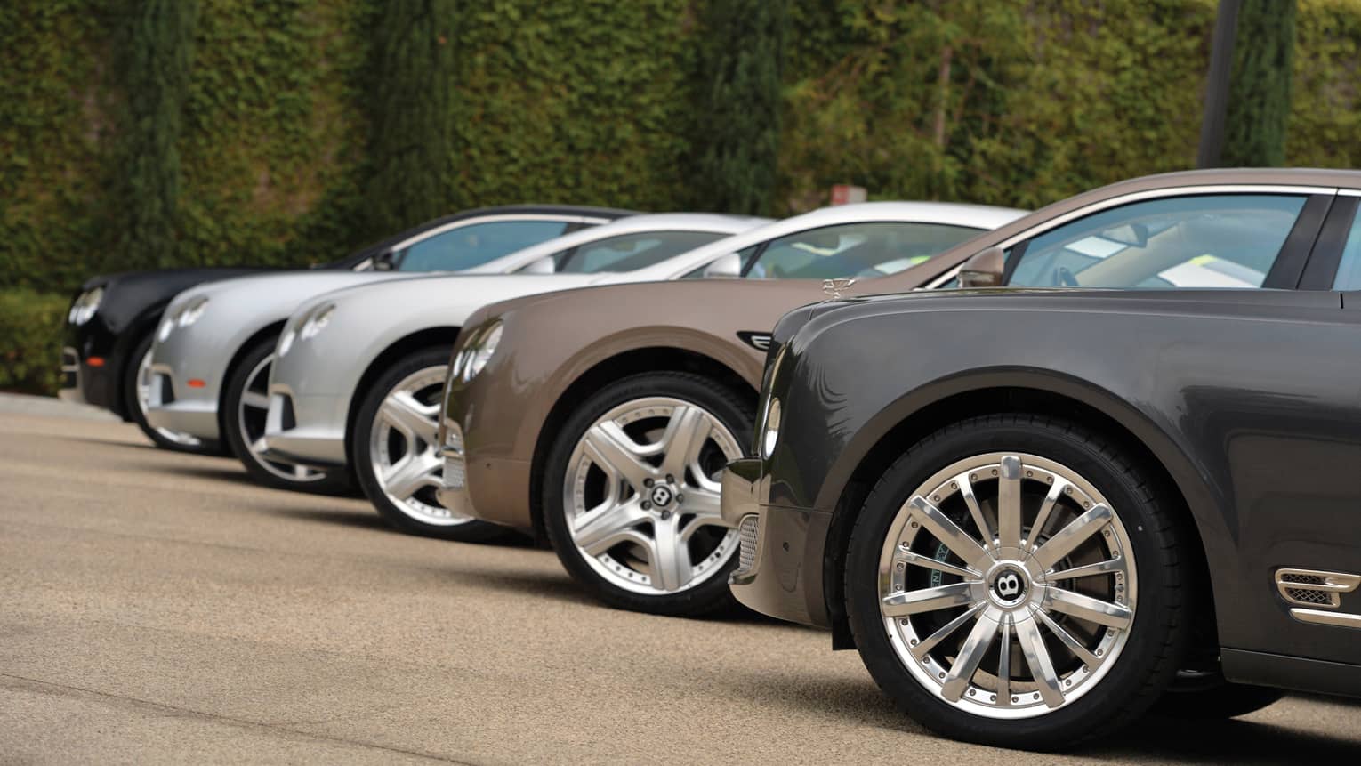 Front view of row of luxury Bentley cars parked in sunny lot