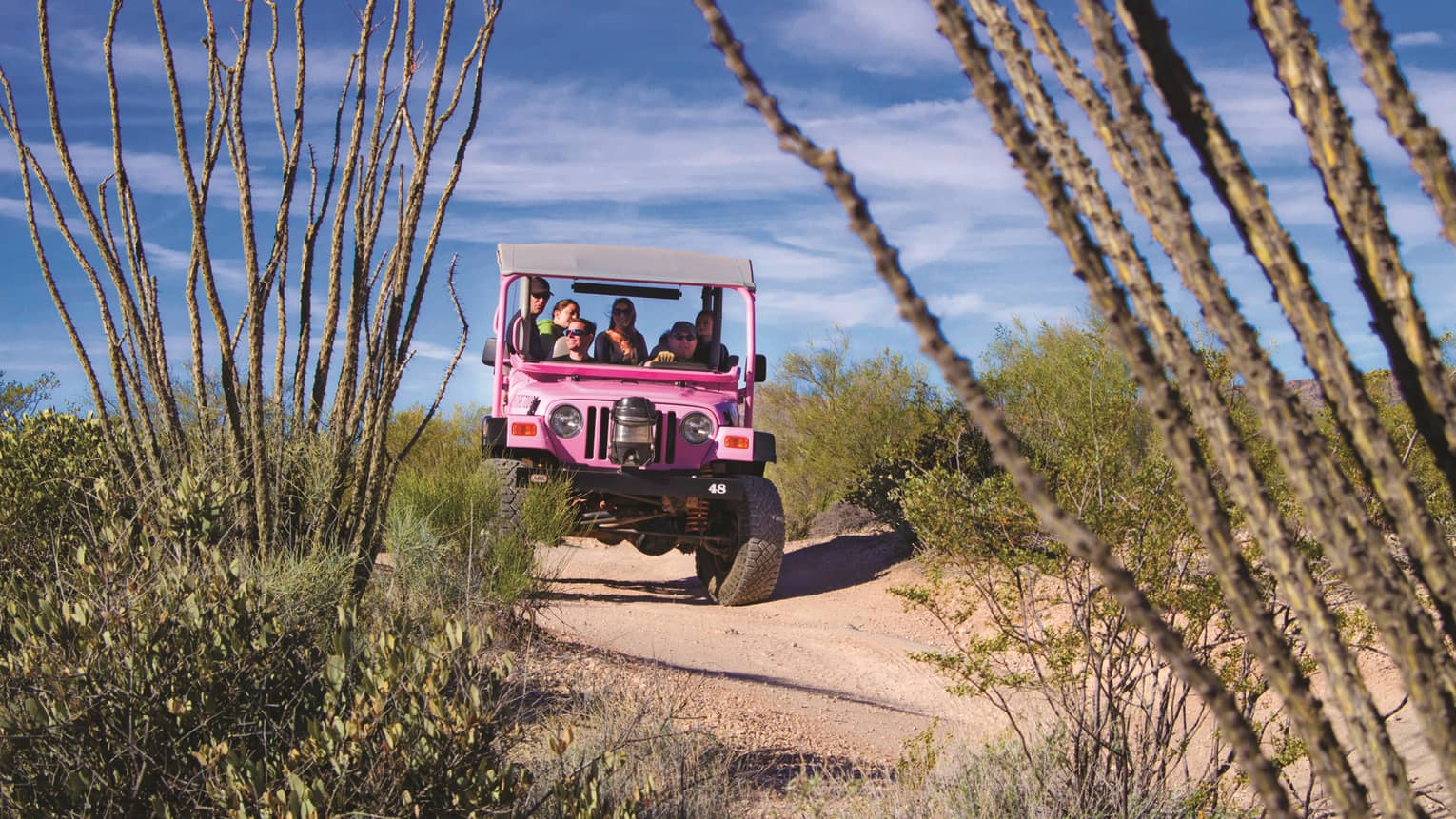 Pink Jeep with tourists drives down desert road past shrubs, cacti