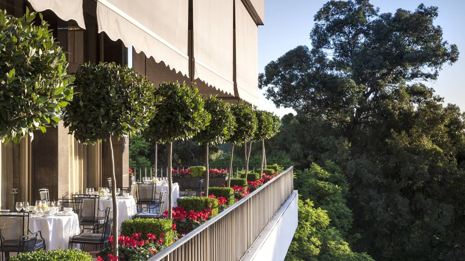 Veranda Terrace Side view of patio dining tables, potted trees 