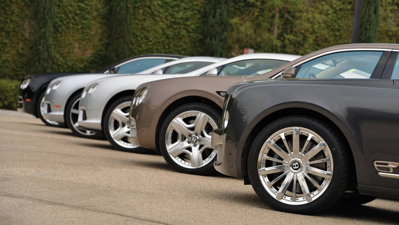 Front view of row of luxury Bentley cars parked in sunny lot