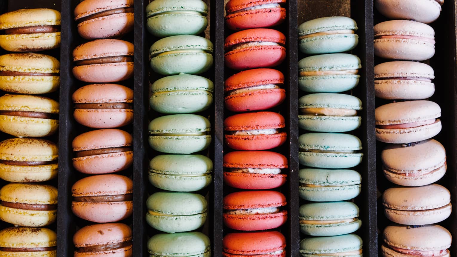 Rows of colourful macaron desserts