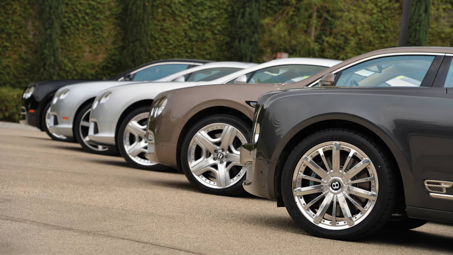 Front view of row of luxury Bentley cars parked in sunny lot