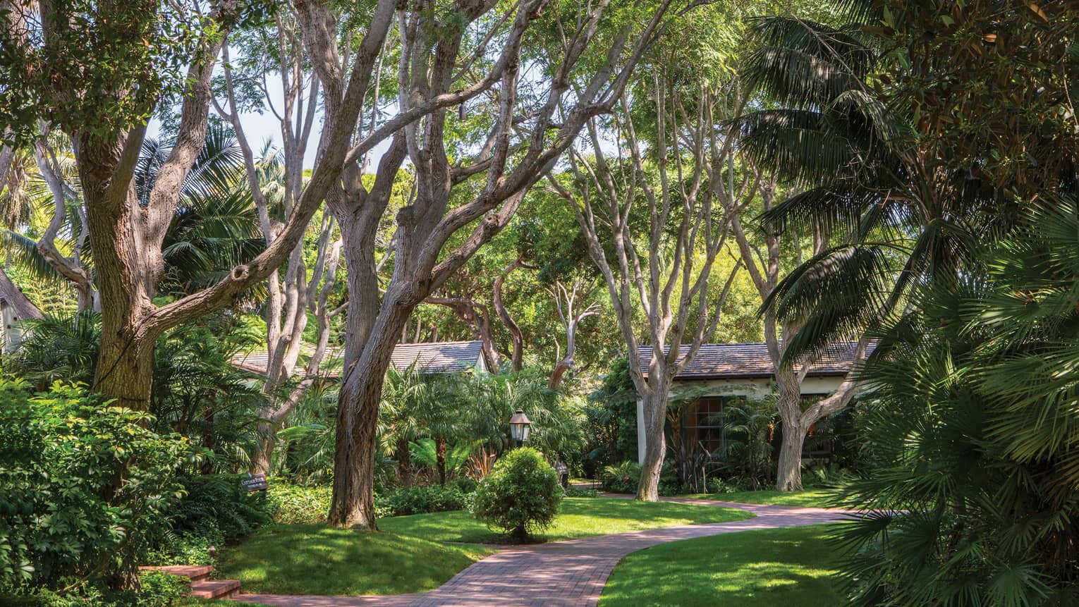 Brick path through garden, bungalows behind tall trees