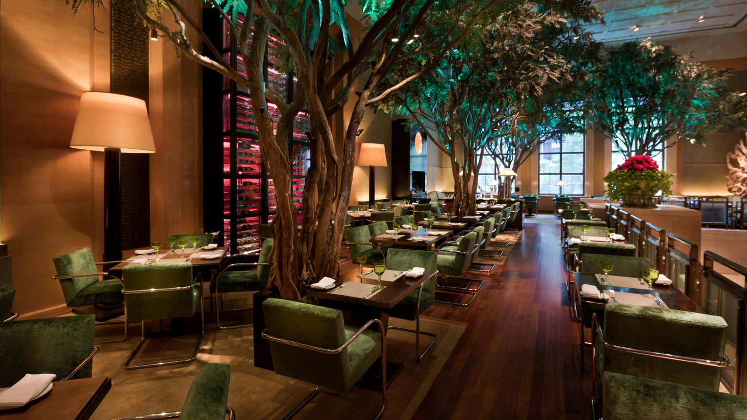 Garden Restaurant dimly-lit dining room with tables, lamps, large indoor trees