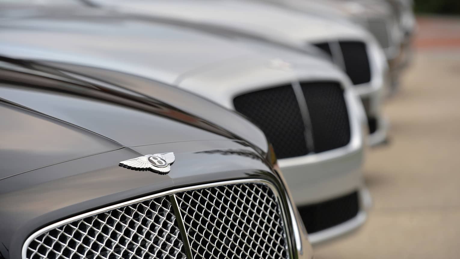 Close-up of hoods of luxury Bentley cars in a row