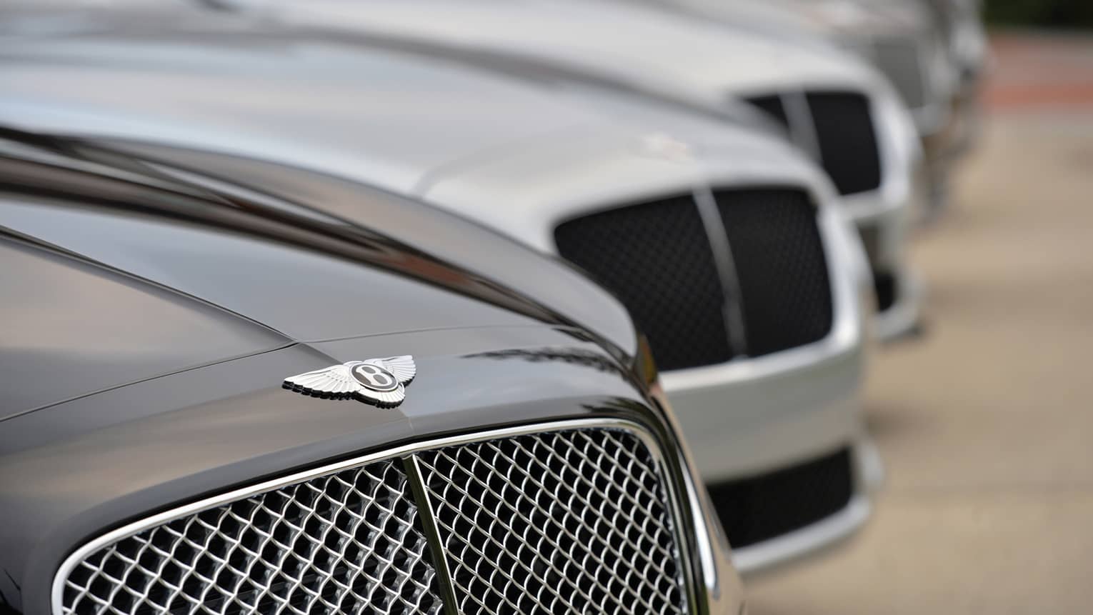 Close-up of hoods of luxury Bentley cars in a row
