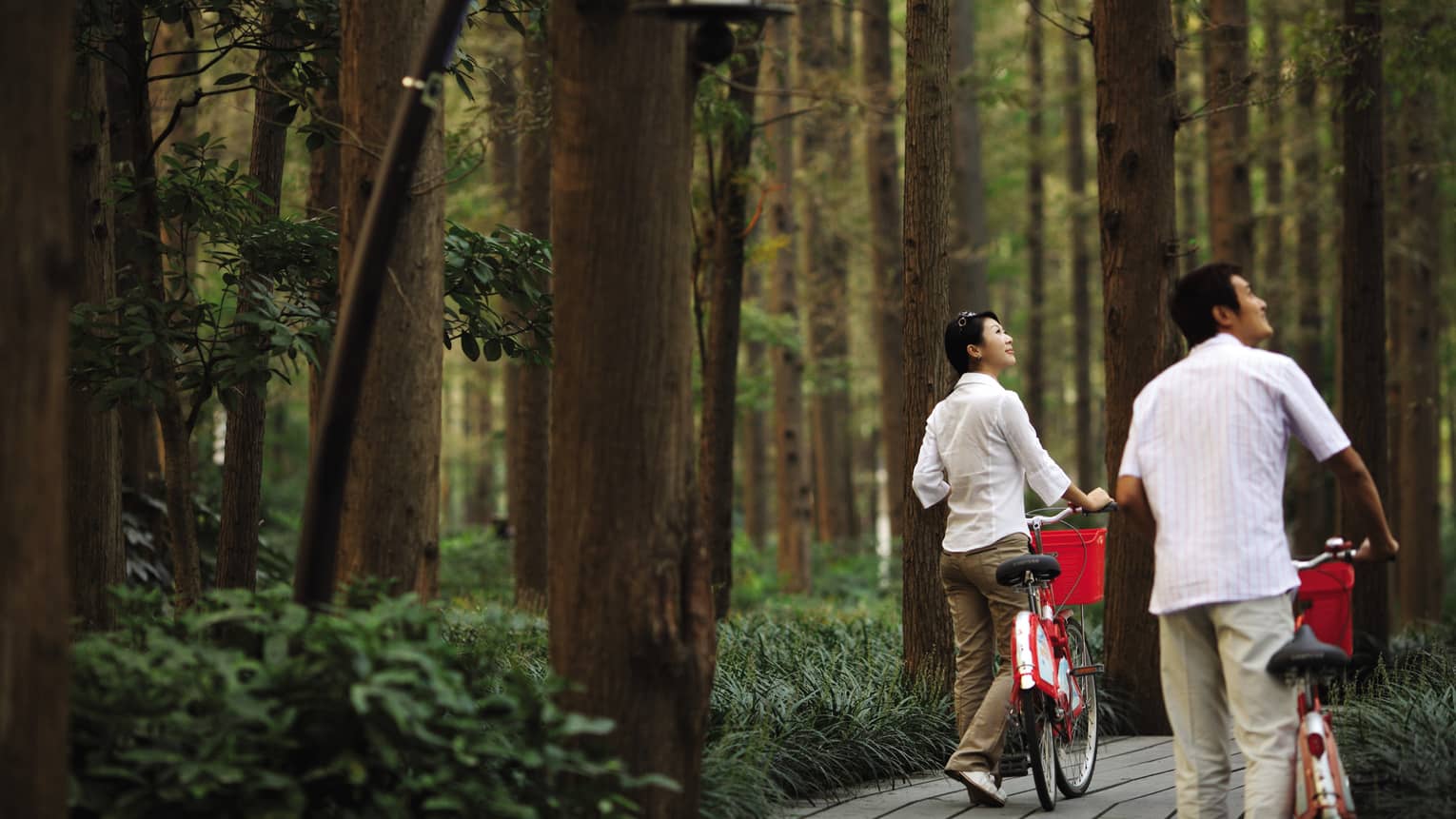 Couple walking bicycles through forest path look up at trees 