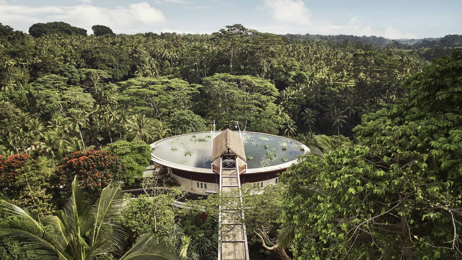 Aerial view of large water-filled lotus pond rooftop pool surrounded by lush palms and forest, long wood footbridge