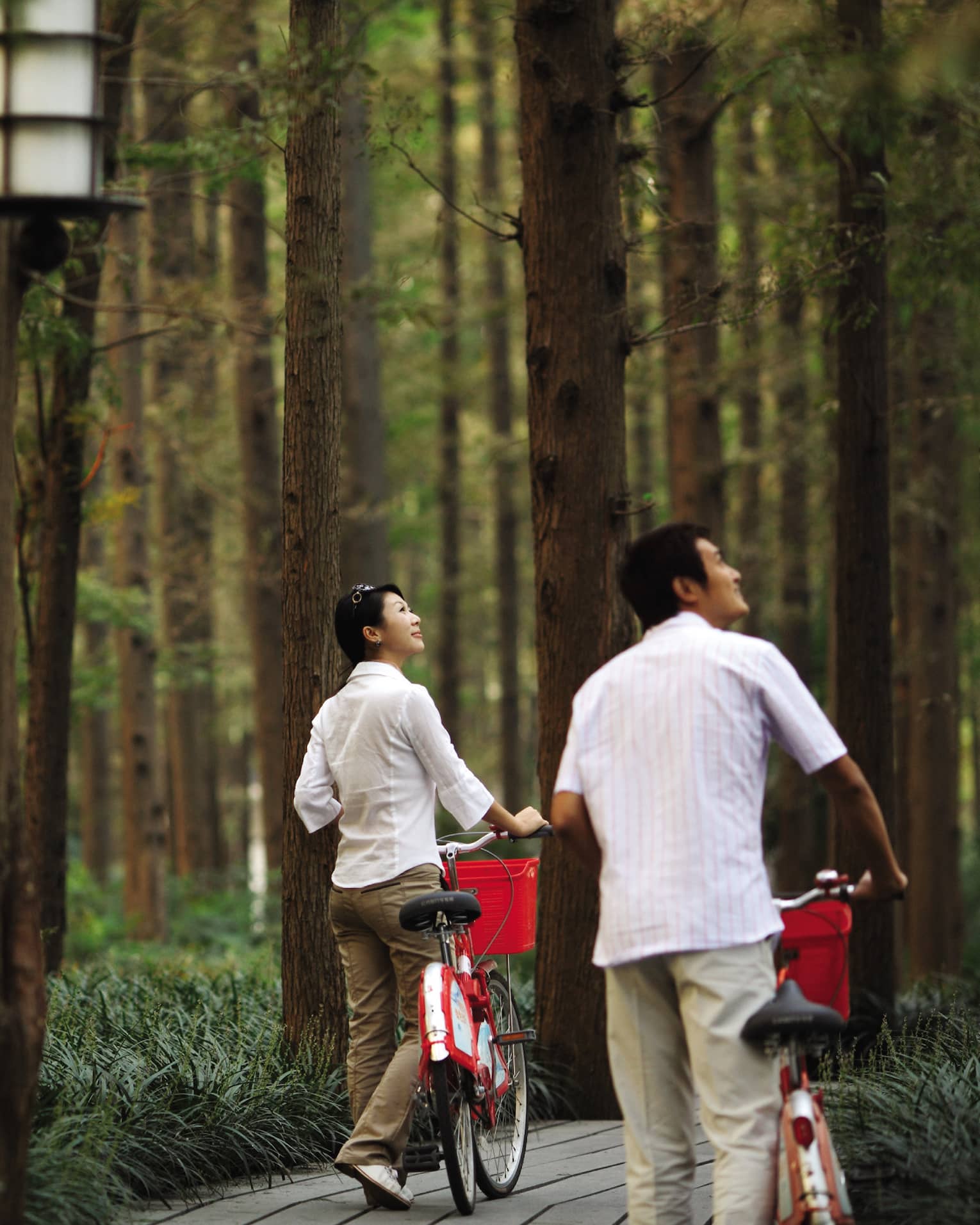 Couple walking bicycles through forest path look up at trees 