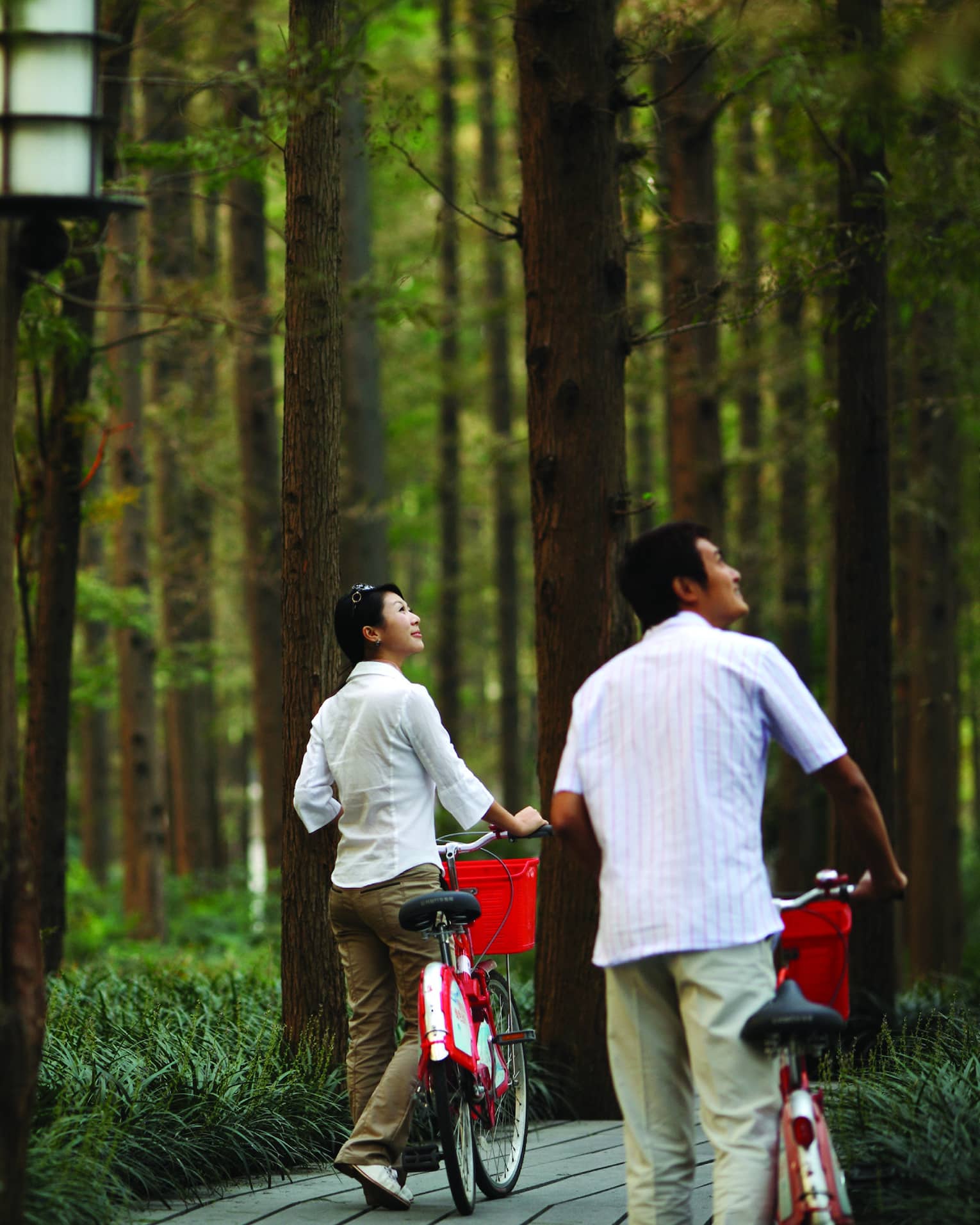 Couple walking bicycles through forest path look up at trees 