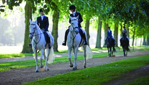 Hyde Park, group rides horses along park path