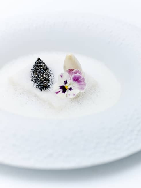 Large bowl with white foam, edible flower and blackberry
